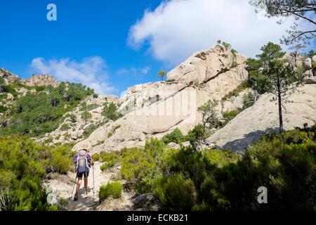 Francia, Corse du Sud, escursionismo sulla GR 20, tra la Conca e mi rifugio Paliri Foto Stock