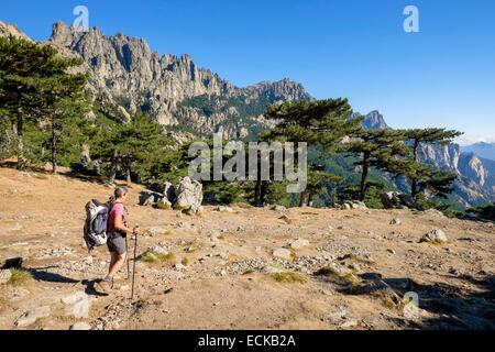 Francia, Corse du Sud, escursionismo sulla GR 20, tra i Paliri rifugio e rifugio Asinau, Aiguilles de Bavella (alt max : 1855m) Foto Stock