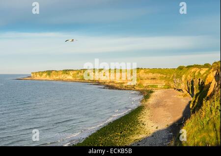 Francia, Calvados, Cricqueville en bessin, Pointe du Hoc, parte di sbarco in Normandia il 6 giugno 1944 Foto Stock