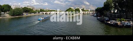 Francia, Parigi, Senna, Ile de la CitΘ, Pont Neuf dal Pont des Arts Foto Stock