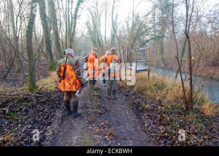 Francia, Alsazia, Reno foresta, per la caccia alla grossa selvaggina, andando al post di caccia Foto Stock