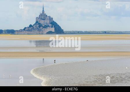 Francia, Manche, baia di Mont Saint Michel, classificato come patrimonio mondiale dall UNESCO, il foro di marea a Pointe du Grouin Sud, il fenomeno delle maree formando un'onda, Mont Saint Michel in background Foto Stock