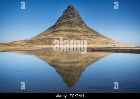 L'Islanda, Vesturland, Snaefellsnes Peninsula, Kirkjufell montagna vicino a Grundarfjordur Foto Stock