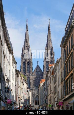 Francia, Puy de Dome, Clermont Ferrand, la cattedrale di Notre Dame de l'Assomption Cathedral e rue des Gras Foto Stock