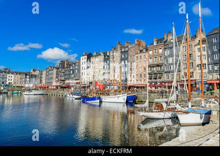 Francia, Calvados, Pays d'Auge, Honfleur e il suo pittoresco porto vecchio bacino e il Quai Sainte Catherine Foto Stock