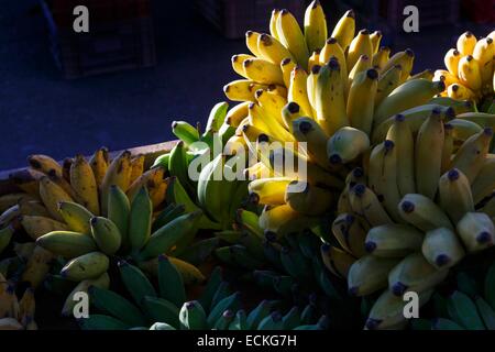 Reunion, San Paolo, settimanale mercato tropicale, banane Foto Stock