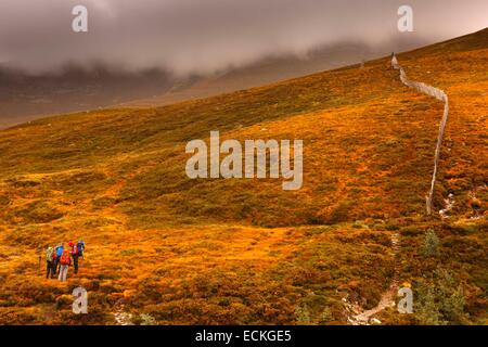 Regno Unito, Scozia, Cairngorms National Park, Cairngorm Montagne, Vista orizzontale di un gruppo di escursionisti su un sentiero in mezzo alla heath in autunno Foto Stock