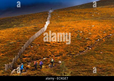 Regno Unito, Scozia, Cairngorms National Park, Cairngorm Montagne, Vista orizzontale di un gruppo di escursionisti su un sentiero in mezzo alla heath in autunno Foto Stock