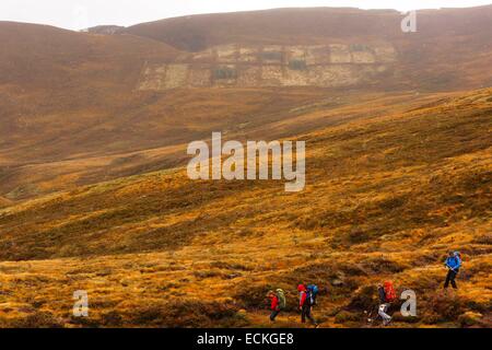 Regno Unito, Scozia, Cairngorms National Park, Cairngorm Montagne, Vista orizzontale di un gruppo di escursionisti su un sentiero in mezzo alla heath in autunno Foto Stock