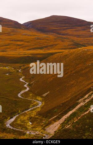 Regno Unito, Scozia, Cairngorms National Park, Cairngorm Mountains, verticale plowland heath e un torrente che si snoda in zone di montagna, in autunno Foto Stock