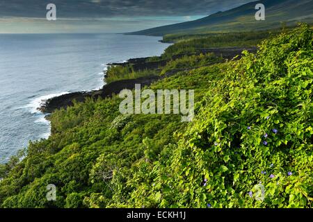 Reunion, il Parc National de la Reunion Reunion (Parco Nazionale), Piton Sainte Rose, marine paesaggio naturale, vista orizzontale della costa tropicale Foto Stock