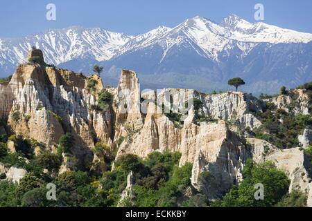 Francia, Pirenei orientali, Ille sur Tet, le formazioni di rocce les Orgues Foto Stock