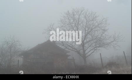 Capanna solitaria su un nebbioso giorno Foto Stock