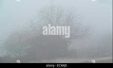 Capanna solitaria su un nebbioso giorno Foto Stock