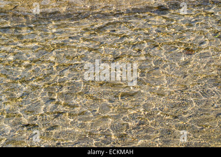 Fondo di fiume texture, giallo sabbia onde in acqua poco profonda Foto Stock