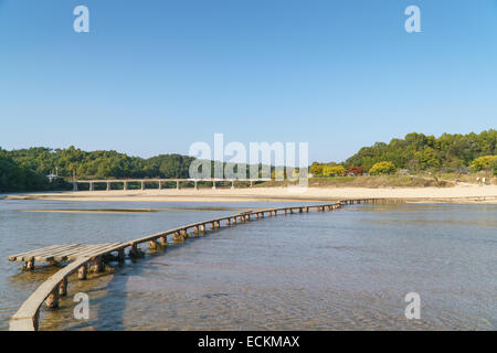 Tutta la vista del villaggio Museom, famosa attrazione, con una singola corsia ponte in legno Yeongju-si, Corea. Foto Stock