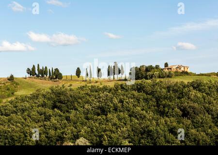 L'Italia, Toscana, Provincia di Firenze, Certaldo, campagna toscana Foto Stock