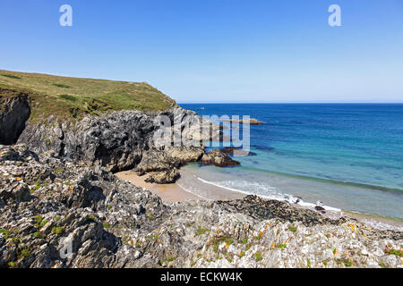 Una isolata insenatura di sabbia accanto a Porth scherzo o Polly scherzo spiaggia vicino ai seguenti luoghi di interesse: Crantock Cornwall South West England Regno Unito Foto Stock