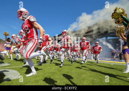 VIENNA, Austria - 26 Maggio 2014: Team Austria entra Hohe Warte stadium di Vienna. Foto Stock