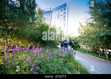 Stati Uniti d'America, New York New York City, Manhattan, lato ovest, Confezionamento carne distretto, linea alta elevata Park, fiore Foto Stock