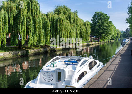 Tempo libero Cruiser Ormeggiato sul fiume Wensum in Norwich Norfolk Foto Stock