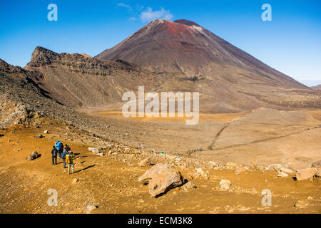 Gli escursionisti in Mt. Ngauruhoe, Circuito Nord escursione del parco nazionale di Tongariro, Isola del nord, Nuova Zelanda Foto Stock