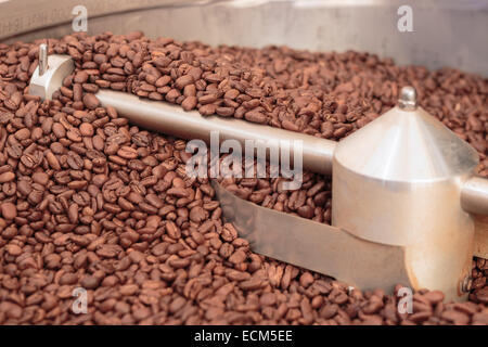 I chicchi di caffè in un acciaio inossidabile refrigeratore dopo la torrefazione Foto Stock