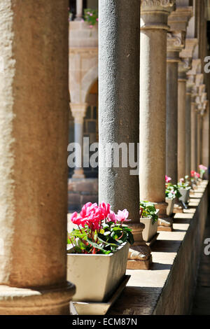 Colonne e fiori, Coricancha, Convento de Santo Domingo del Cusco, Cusco, Perù Foto Stock