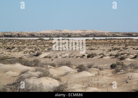 Deserto e dei depositi di sale Foto Stock