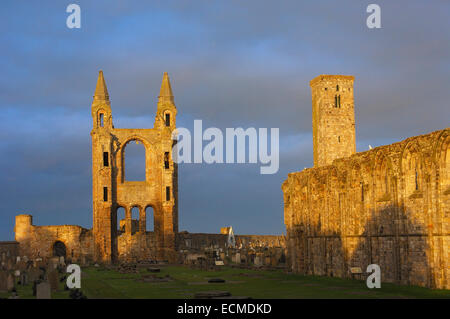 Le Rovine di San regola della chiesa cattedrale e al tramonto, St Andrews, Regione Fife, Scozia, Regno Unito, Europa Foto Stock