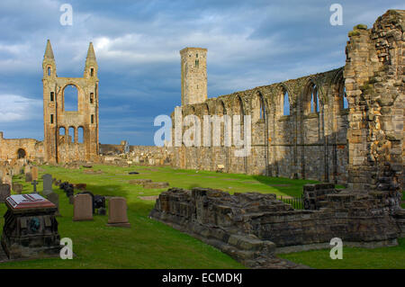 Le Rovine di San regola la chiesa e la Cattedrale St Andrews, Regione Fife, Scozia, Regno Unito, Europa Foto Stock