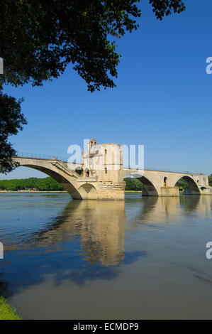 Saint Benezet ponte sul Rodano, Avignon Vaucluse, Provence-Alpes-Côte d'Azur, la valle del Rodano, Provence, Francia Foto Stock