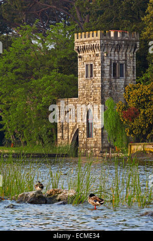 Torre del Lago Puccini, il lago di Massaciuccoli, Viareggio, Provincia di Lucca, Toscana, Italia, Europa Foto Stock