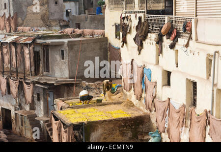 Fez Marocco Antica Conceria Chouara chiamato conceria che è quasi 1000 anni dal di sopra della conceria di vasche con tinture di colore Foto Stock