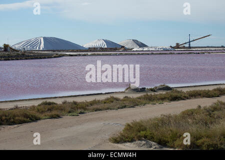 Sale stagni di evaporazione, saline, saline, sale, Meersalz-Gewinnung, Salinen, Salzgewinnungsanlage, Meersalz, Salzgewinnung Foto Stock