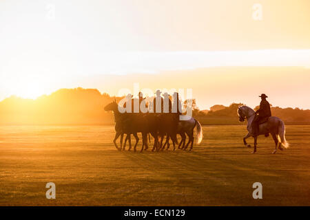 Cowboys a cavallo Equitazione in arancione tramonto Foto Stock