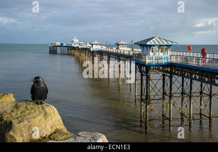 Llandudno Pier e la cornacchia appollaiato sulla roccia. Victorian architettura balneare.Llandudno Gwynedd Galles del Nord Foto Stock