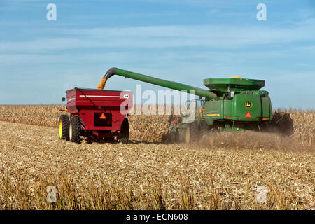 Funzionamento agricoltore mietitrebbia John Deere la raccolta di coppia campo di mais. Foto Stock