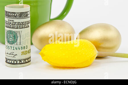Tulipano giallo fiore di rugiada fresca nella parte anteriore del dollaro americano moneta e due, nido d'oro le uova con il caffè verde mug. Foto Stock