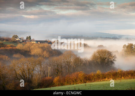 Ealry mattina nebbia attraverso le colline Carmarthenshire in Galles, foschia mostra in strati attraverso la valle in presenza di luce solare Foto Stock