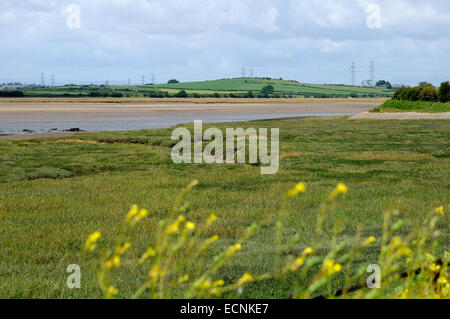 Estuario di lune Foto Stock