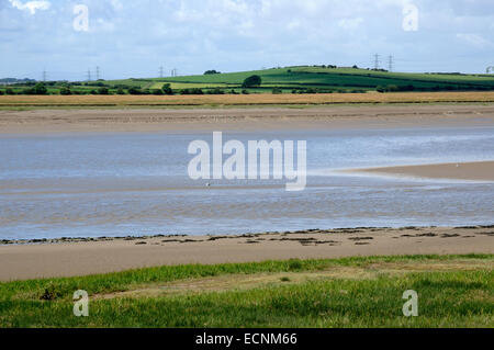 Estuario di lune Foto Stock