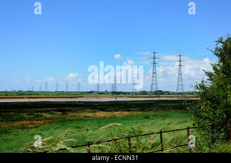 Lune estuario tralicci di energia elettrica Foto Stock