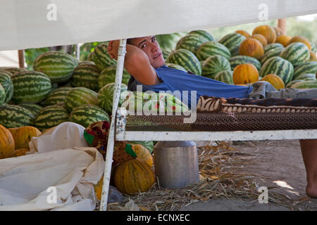 Giovani uzbeki venditore a vendere cocomeri da una banchina stallo in Uzbekistan Foto Stock