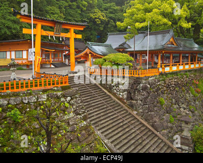 Torri porta a Kumano Nachi Taisha Grand Santuario, Kumano Kodo Percorso del pellegrinaggio, Kii Peninsula, prefettura di Wakayama, Giappone Foto Stock