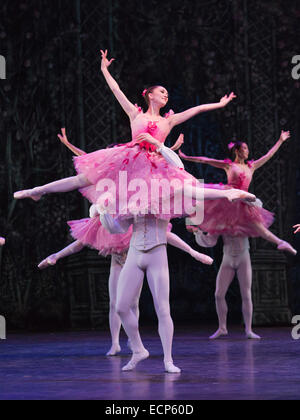Il Valzer dei fiori con ballerini del English National Ballet e gli studenti di Inglese Scuola Nazionale di Danza Classica. Prove abito per il balletto "schiaccianoci" at The London Coliseum. Insieme alla musica di Pyotr Ilyich Tchaikovsky, il tradizionale Natale il balletto coreografato da Wayne Eagling basato su un concetto da Toer von Schayk e Wayne Eagling. La English National Ballet Philharmonic Orchestra accompagna ballerini dell' English National Ballet e gli studenti di Inglese Scuola Nazionale di Danza Classica. I bambini sono esecutori da Tring Park scuola per le Arti dello spettacolo. Foto Stock
