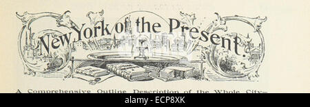 Questa illustrazione del 1893 tratta dalla serie di King's NYC mostra un'immagine dettagliata, che probabilmente raffigura un punto di riferimento o una struttura a New York City, che offre un resoconto visivo storico del tempo. Foto Stock