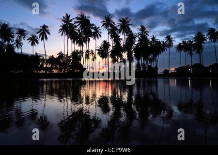 Un bel tramonto vede palme riflettendo in una piscina vicino alla spiaggia in Ko Lanta, Thailandia Foto Stock
