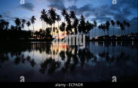 Un bel tramonto vede palme riflettendo in una piscina vicino alla spiaggia in Ko Lanta, Thailandia Foto Stock