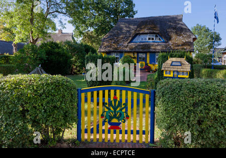 Tipico vecchio cottage con il tetto di paglia, nato am Darß, Fischland-Darß-Zingst, Meclenburgo-Pomerania Occidentale, Germania Foto Stock